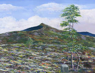 Ben Rinnes 