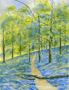 Spring Woods Hawkshead