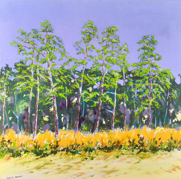 Holkham Pine Trees from the Beach 2