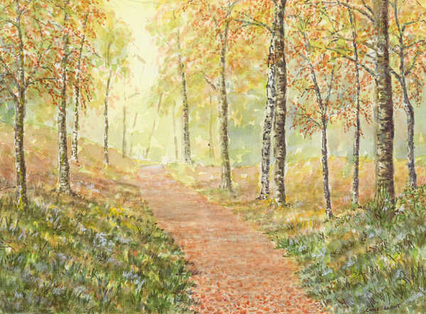 Sanquhar Woods