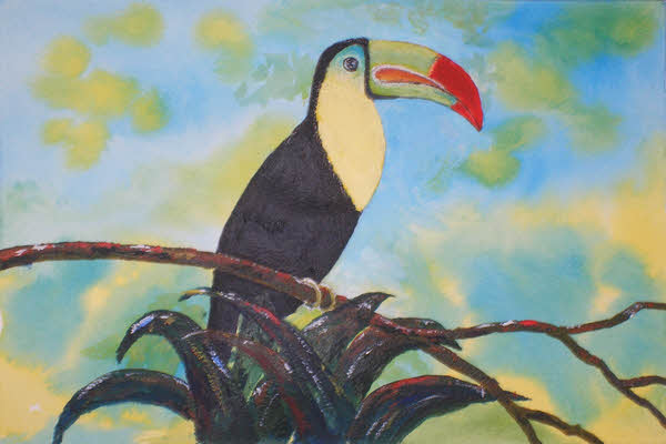 Toucan Ted
