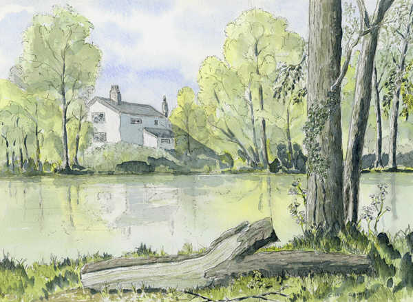 Chris Gaunt Artist - Wortwell Lake